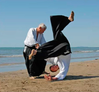 Aikido Shojiki - Introducción al Aikido